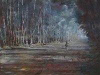 Piste équestre en sous bois