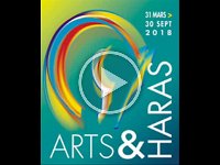 vidéo art et haras_sonorisée