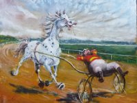 Course dans un fauteuil sulky2