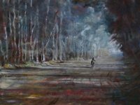 Piste équestre en sous bois